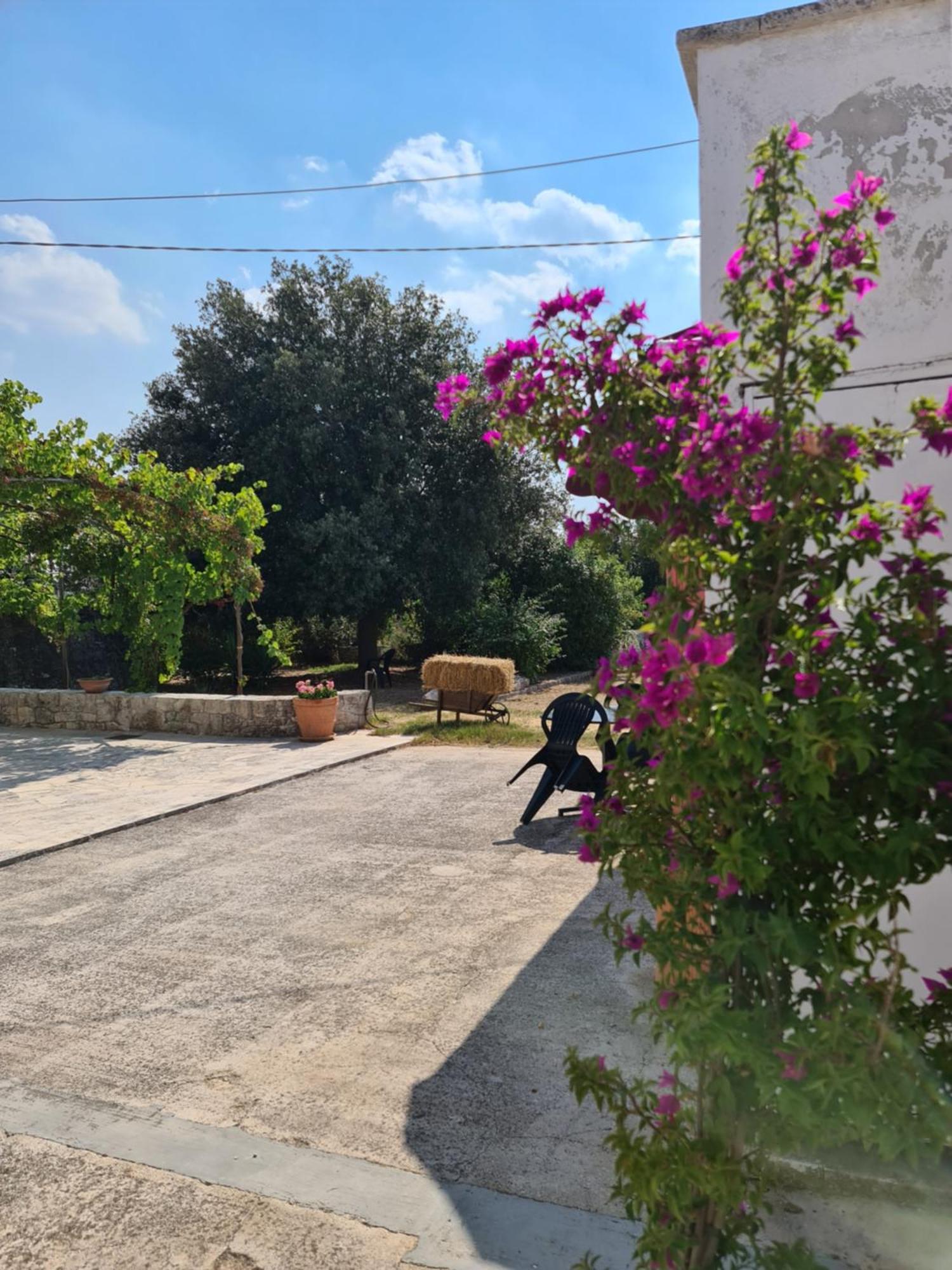 Masseria Gianca تْشيستيرنِنو المظهر الخارجي الصورة